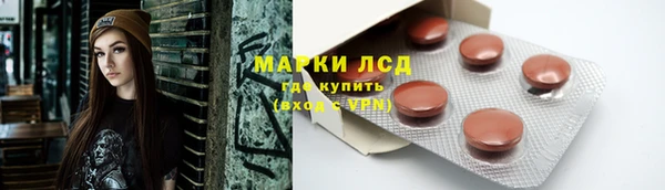 стафф Михайлов
