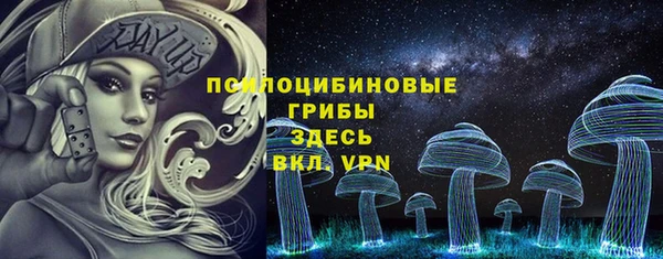 стафф Михайлов
