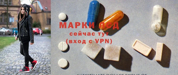 стафф Михайлов