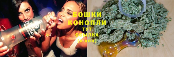 индика Бронницы