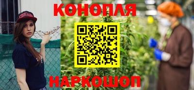 сатива Беслан