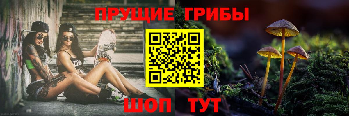 Псилоцибиновые грибы Magic Shrooms  Псилоцибиновые грибы MAGIC MUSHROOMS  Ульяновск  Вход с VPN 